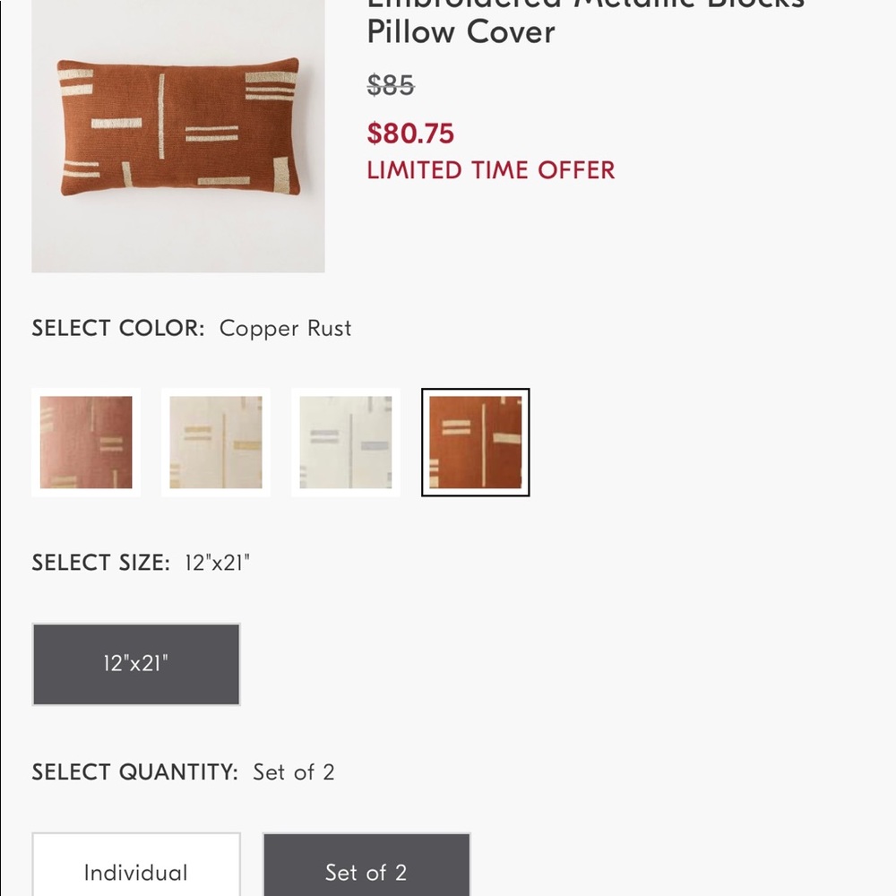 Pair of West Elm pillows w/ down alternative inserts